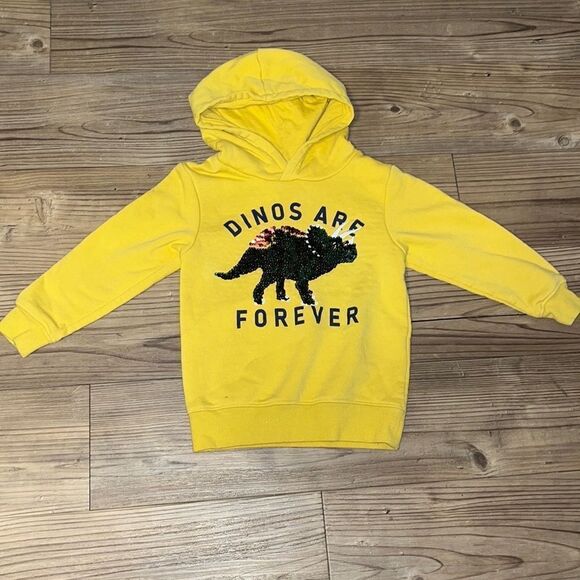 H&M Toddler Dino Hoodie - Picture 1 of 5